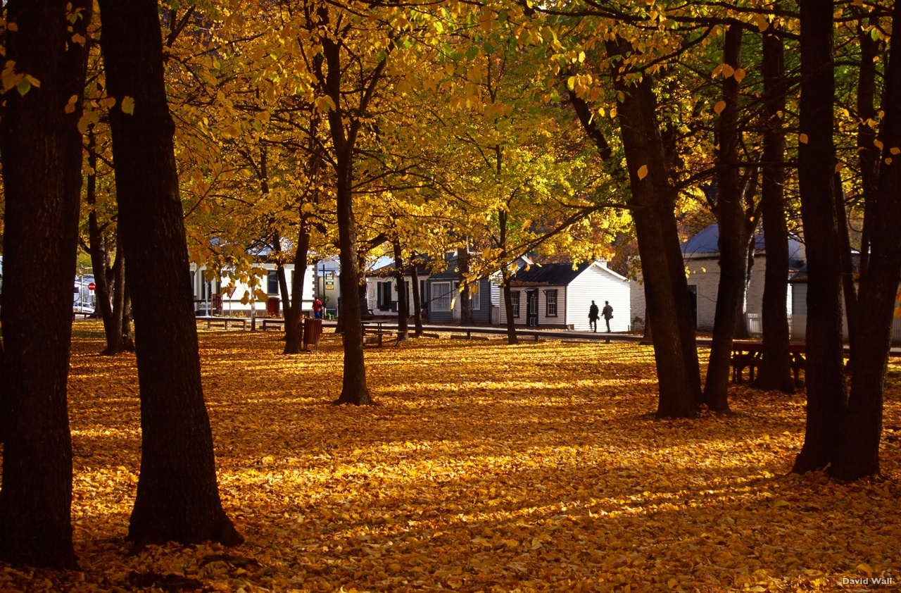 Arrowtown in Autumn