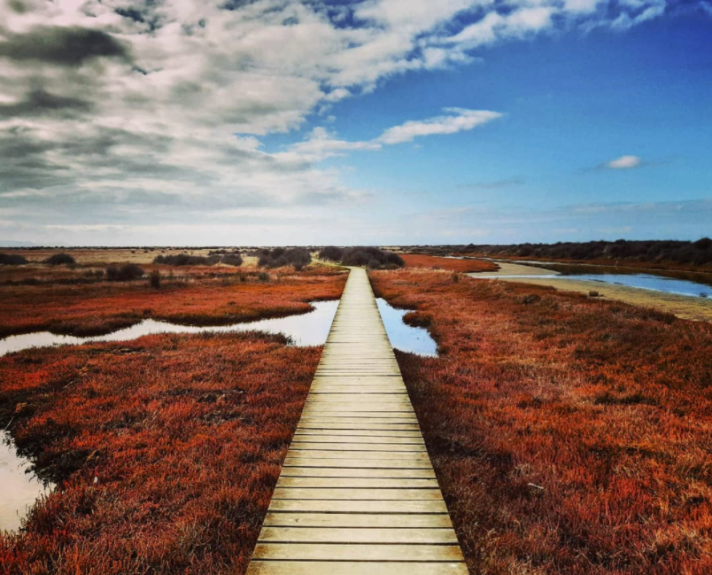 Enjoy the best walks whilst staying at our Blenheim motel