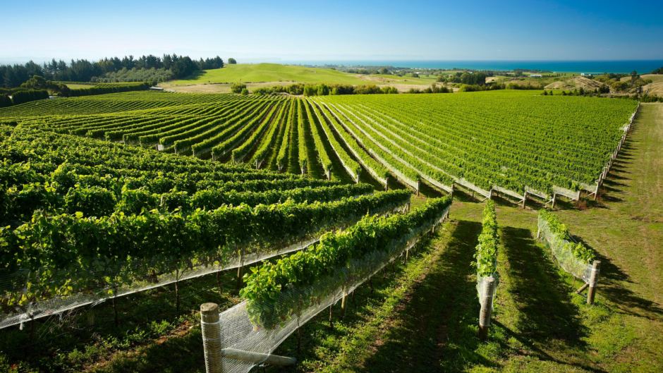 Hawkes Bay Wineries