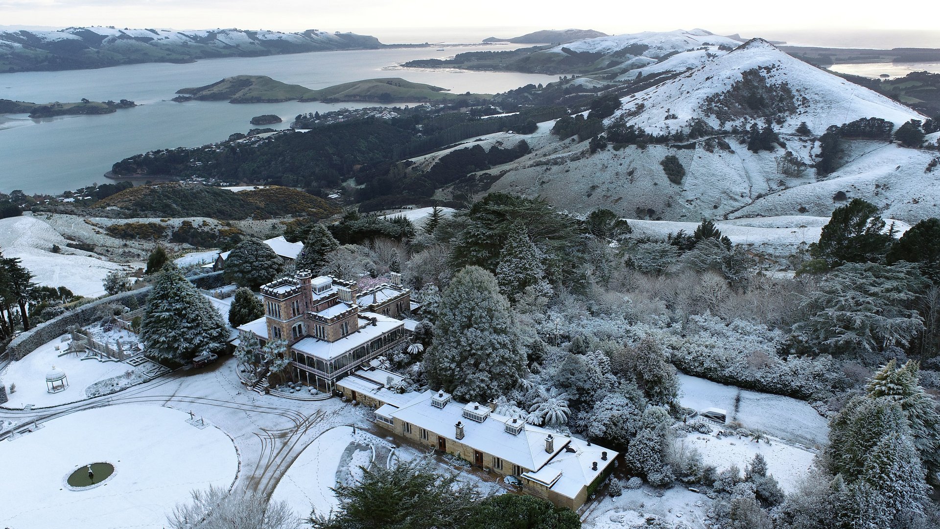 The Best Things to Do in Dunedin in Winter - Tours, Charters & More