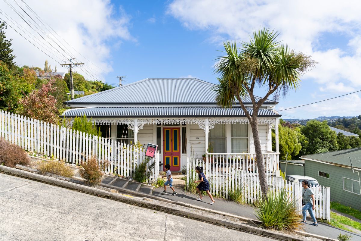 Top Family Activities Dunedin: Rain or Shine | Bella Vista Motels