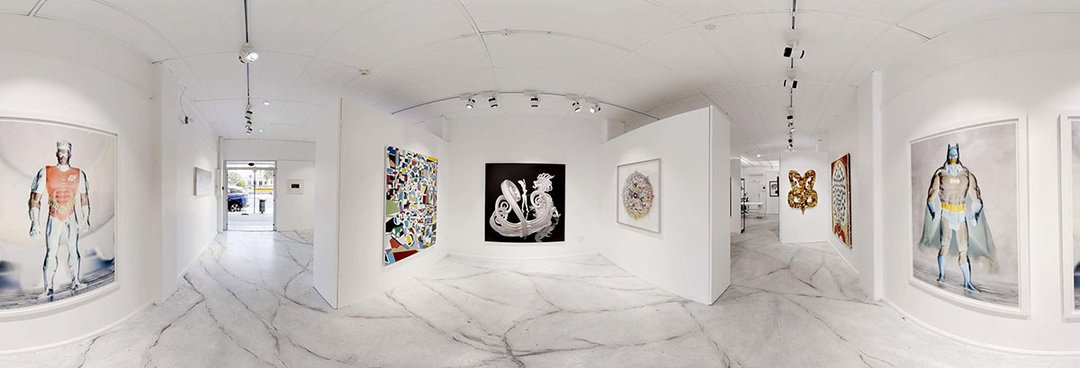 Naiper Boyd-Dunlop Gallery