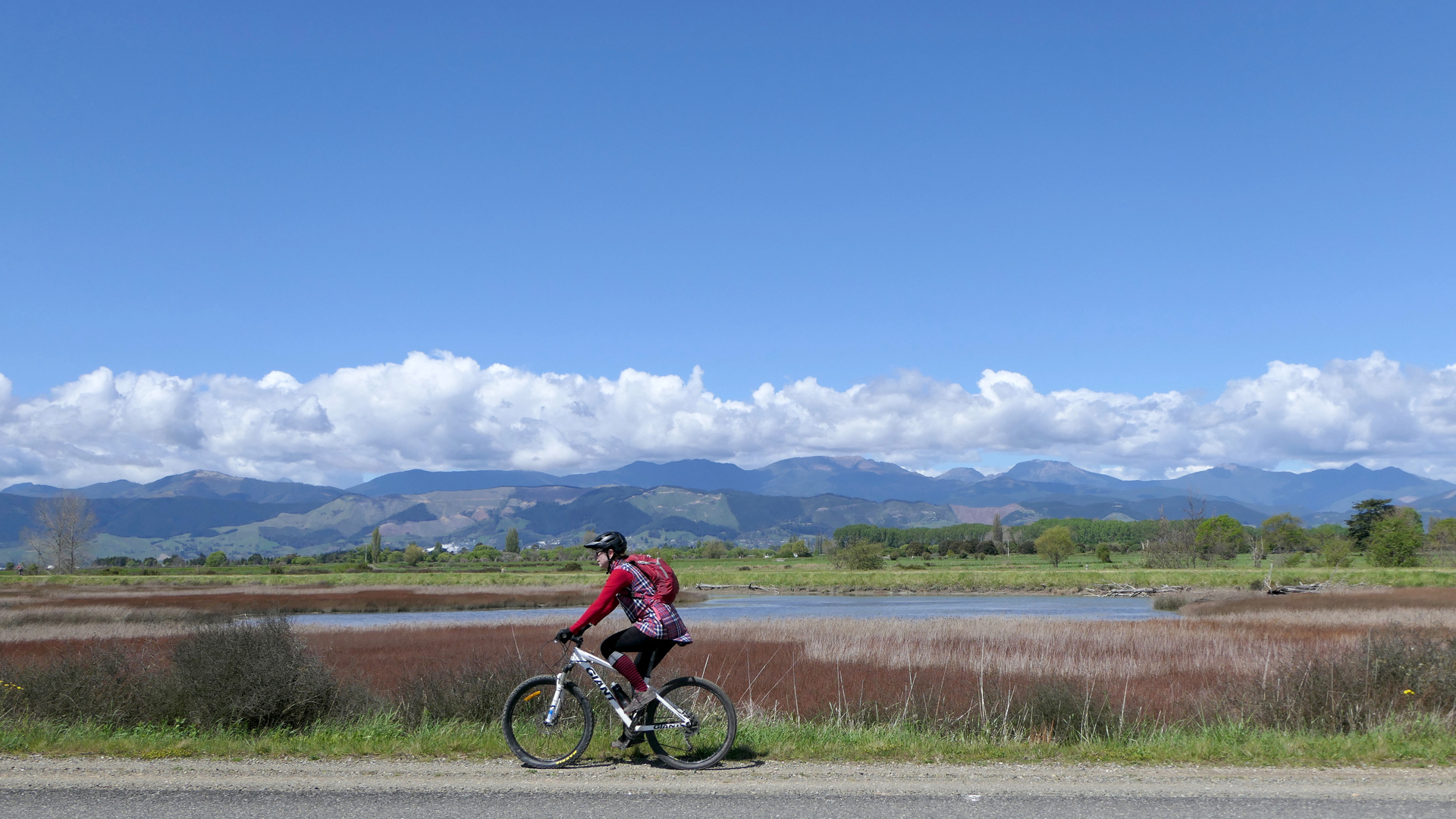 6 Great Bike Trails in Nelson Tasman | Bella Vista Motels