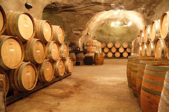 The Best Wineries in Queenstown | Bella Vista