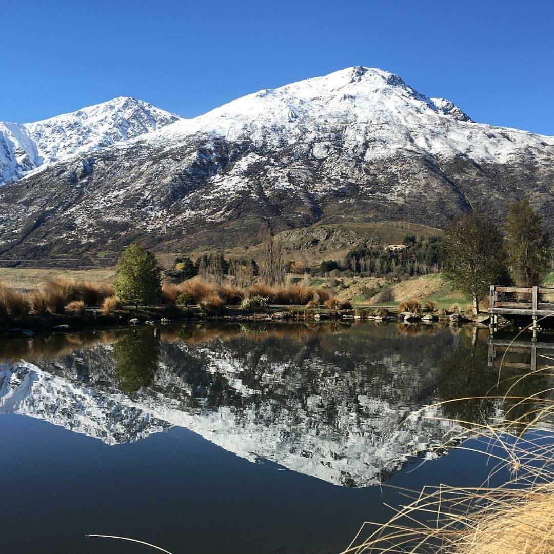 7 Great Queenstown Walks with Bella Vista | Queenstown Motels