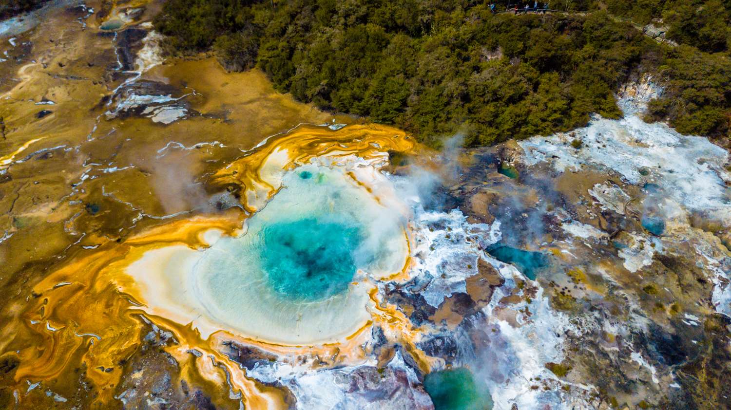 Taupo Orakei Korako