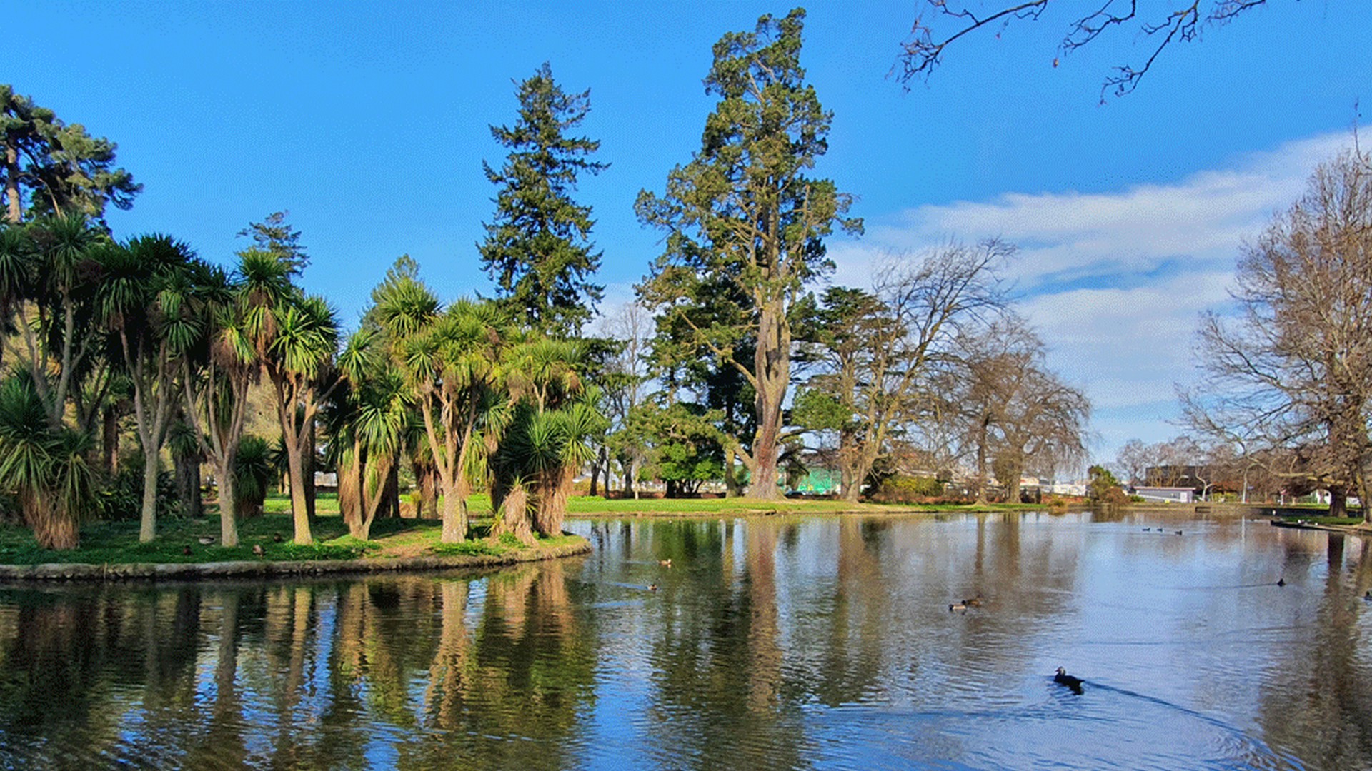 Ashburton Domain