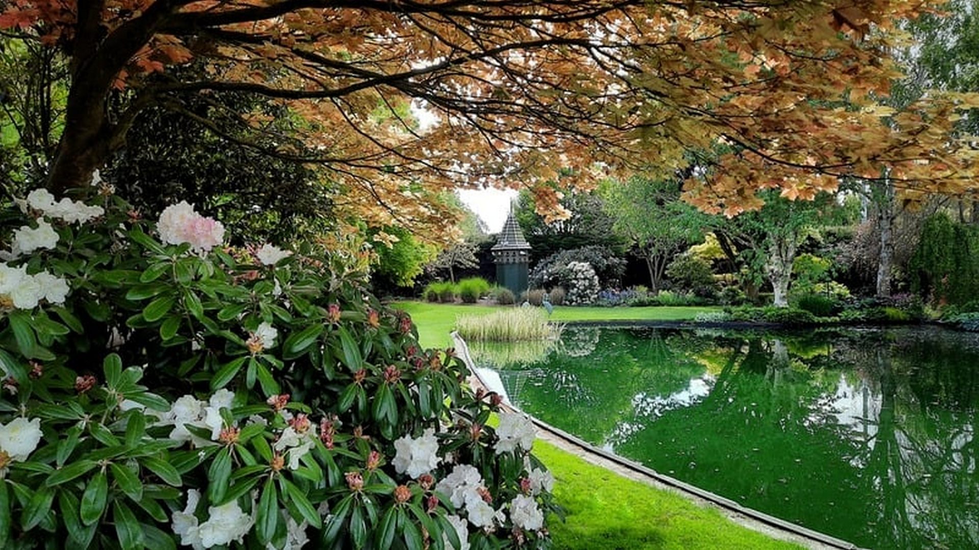 Ahsburton Gardens