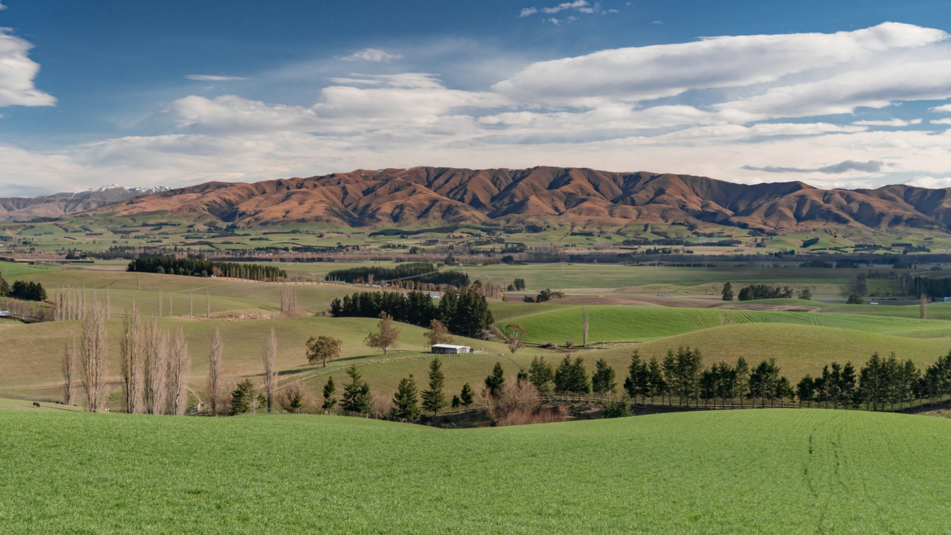 Ashburton, the gateway to Mid-Canterbury