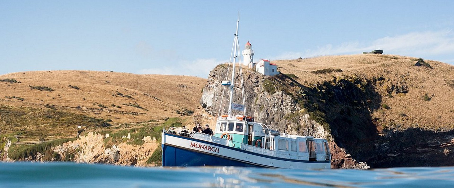 20% off Dunedin Wildlife Tours