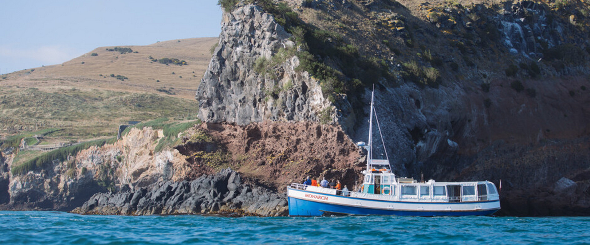 20% off Dunedin Wildlife Tours