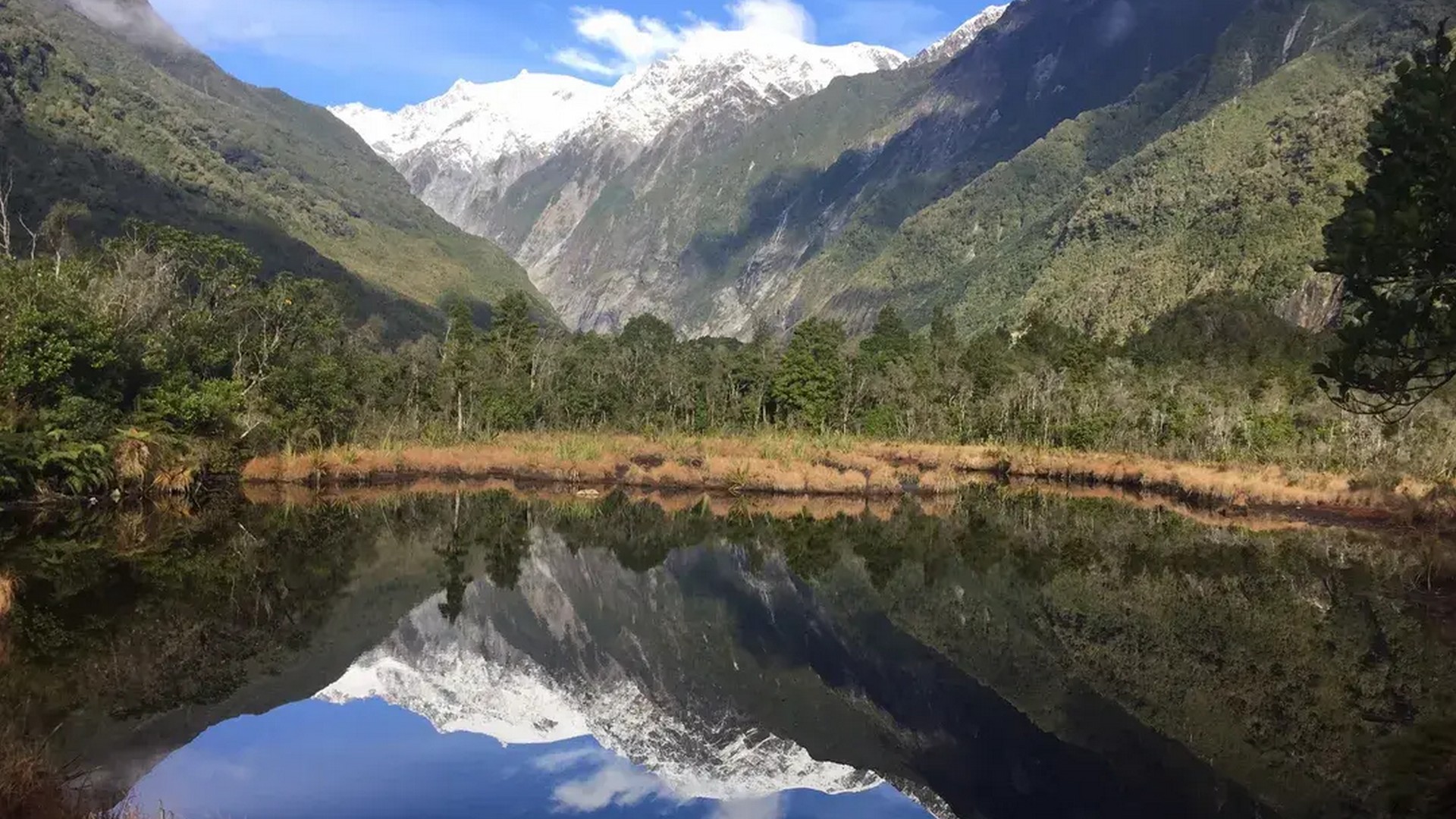 Local Franz Josef Walks