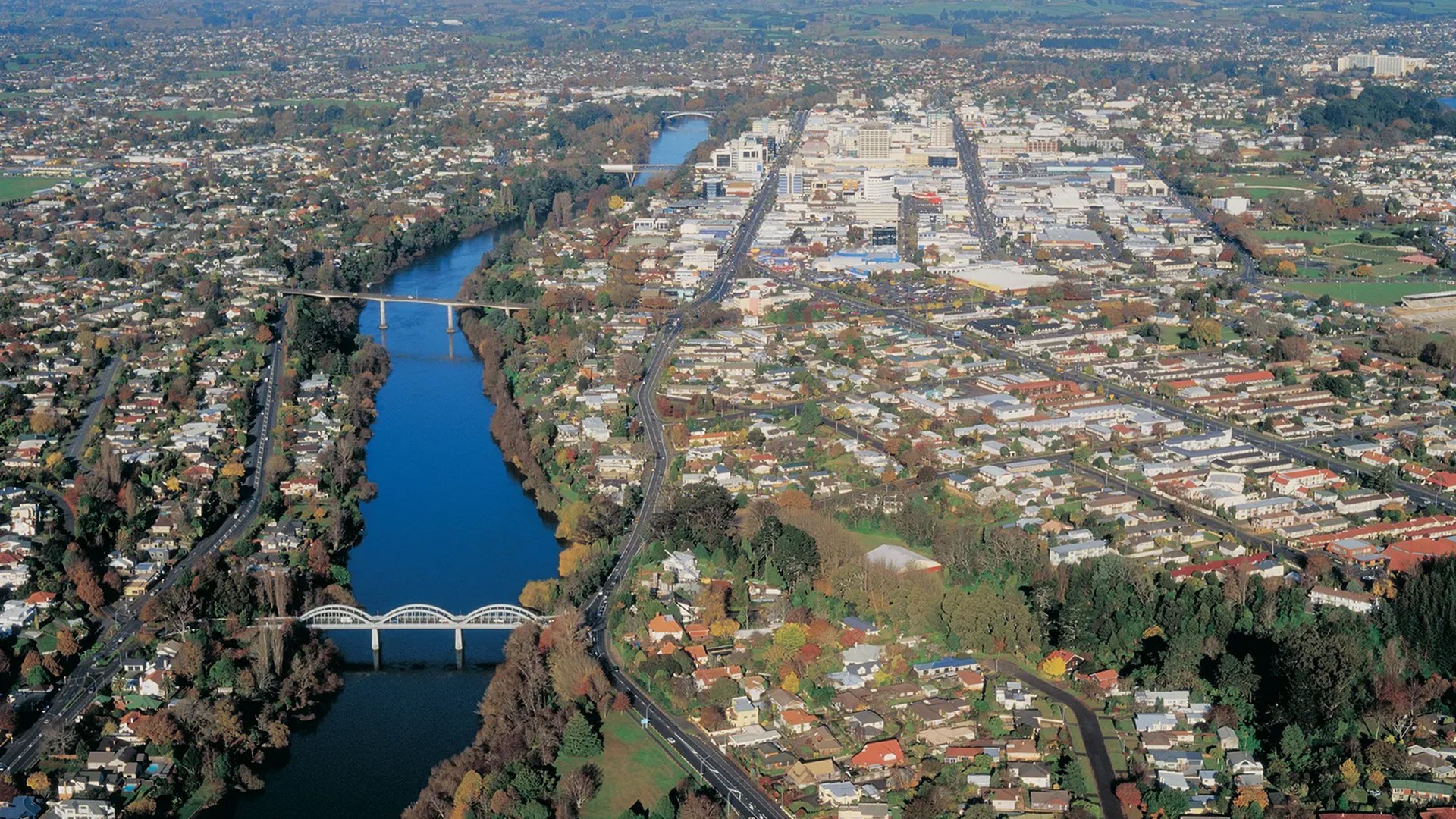 Hamilton Accommodation