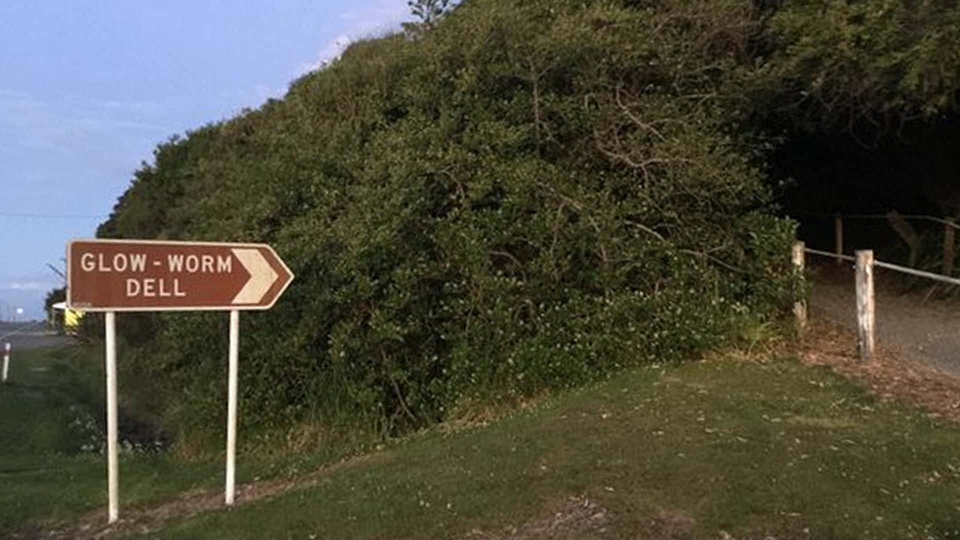 Hokitika Glow Worm Dell