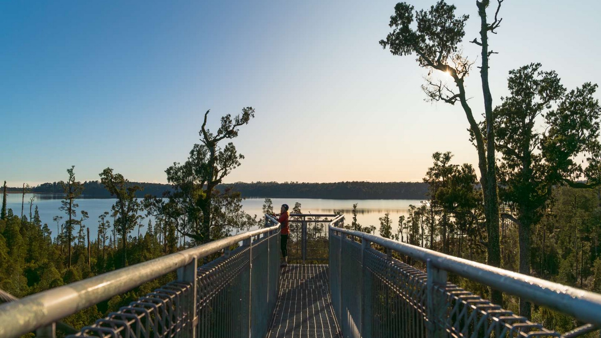 Hokitika Treetops Walkway
