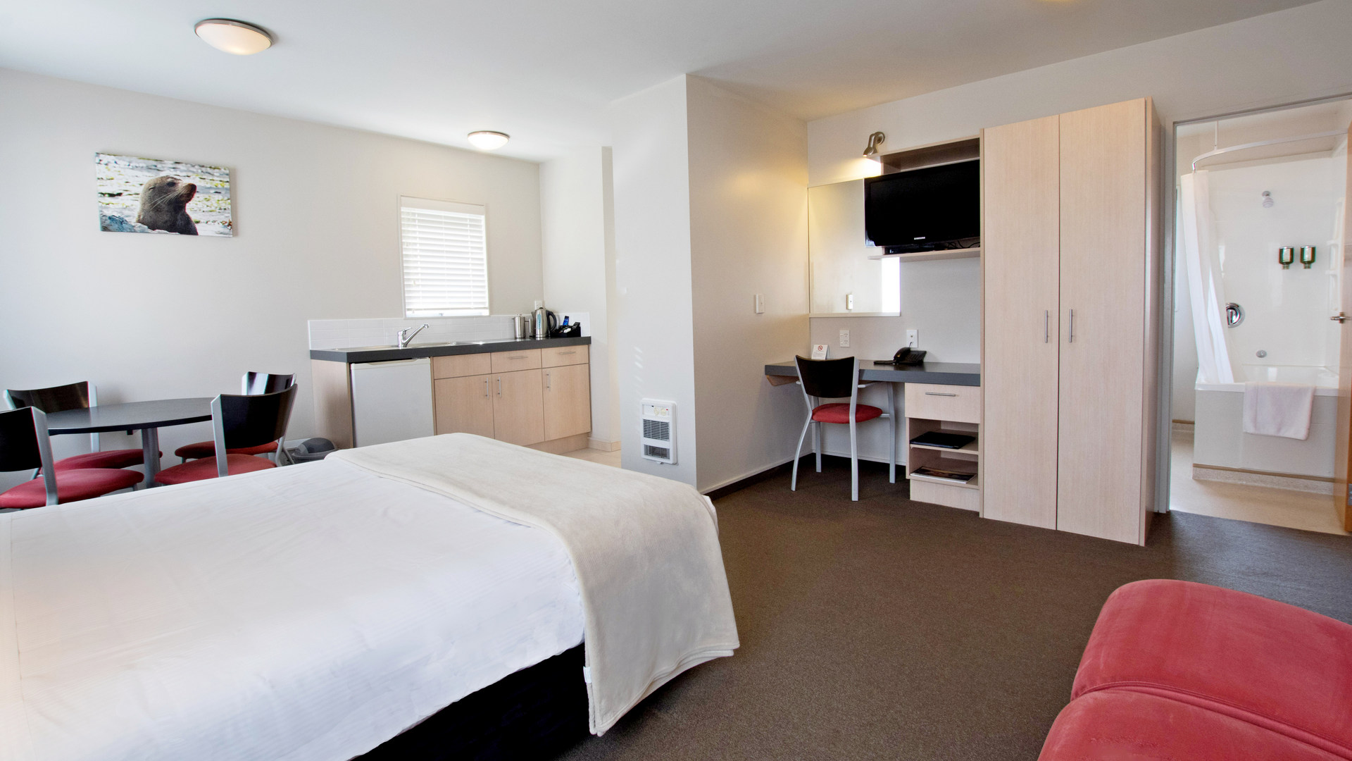 large room Kaikoura