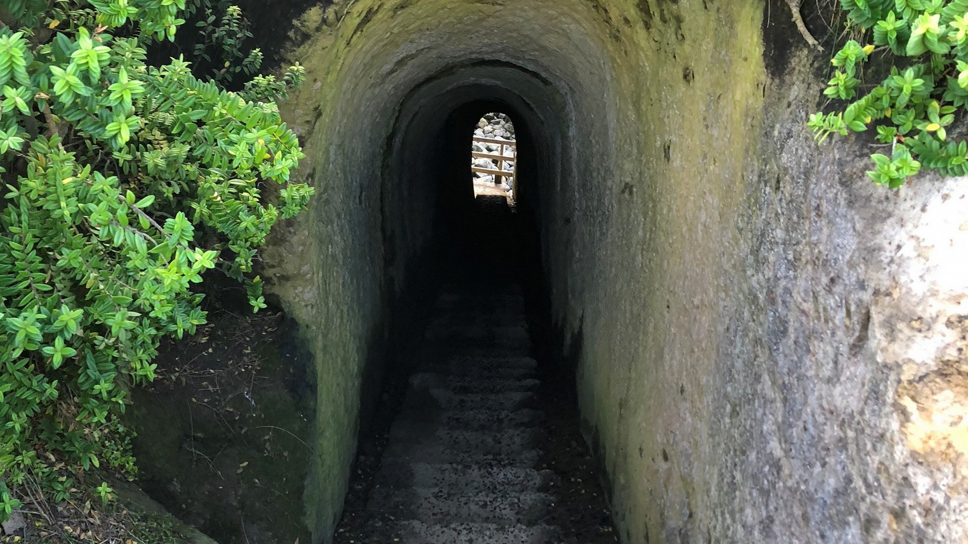 Tunnel Beach