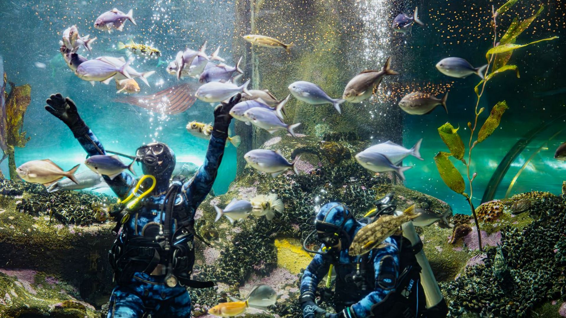National Aquarium