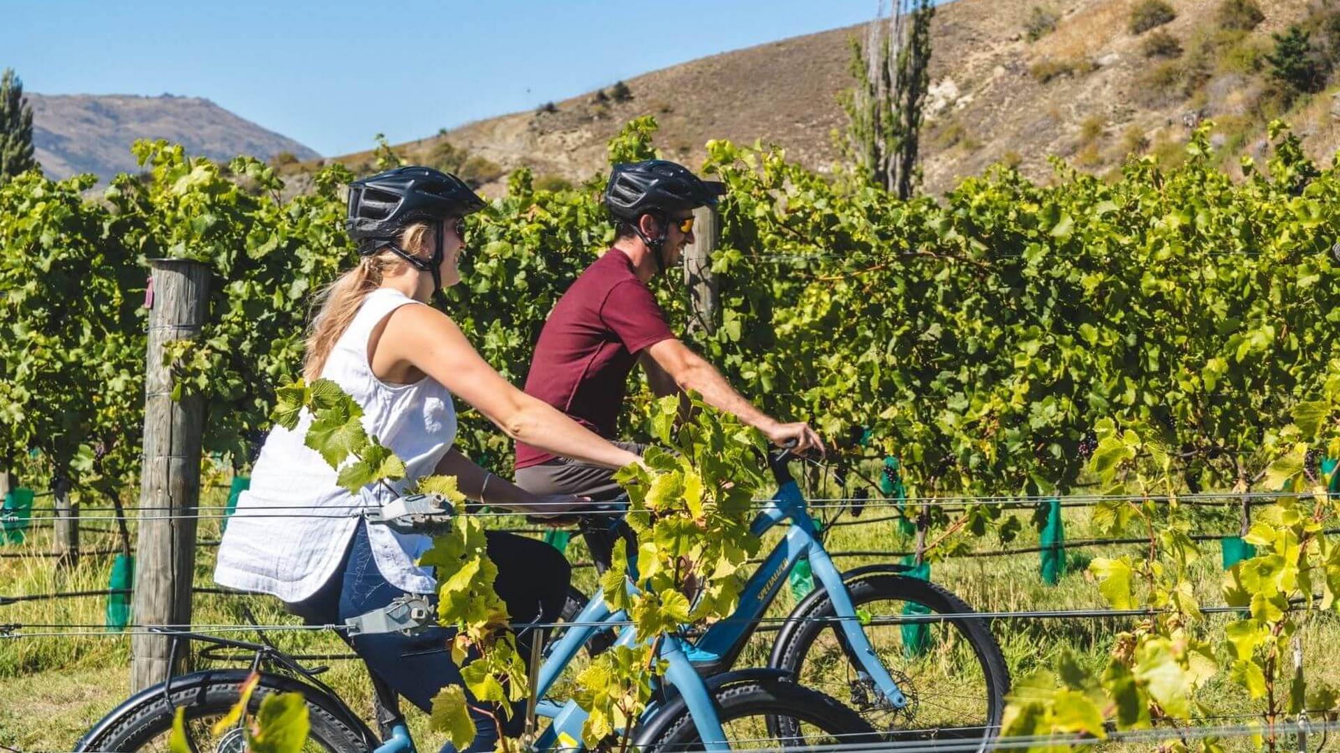 Visit the Wineries