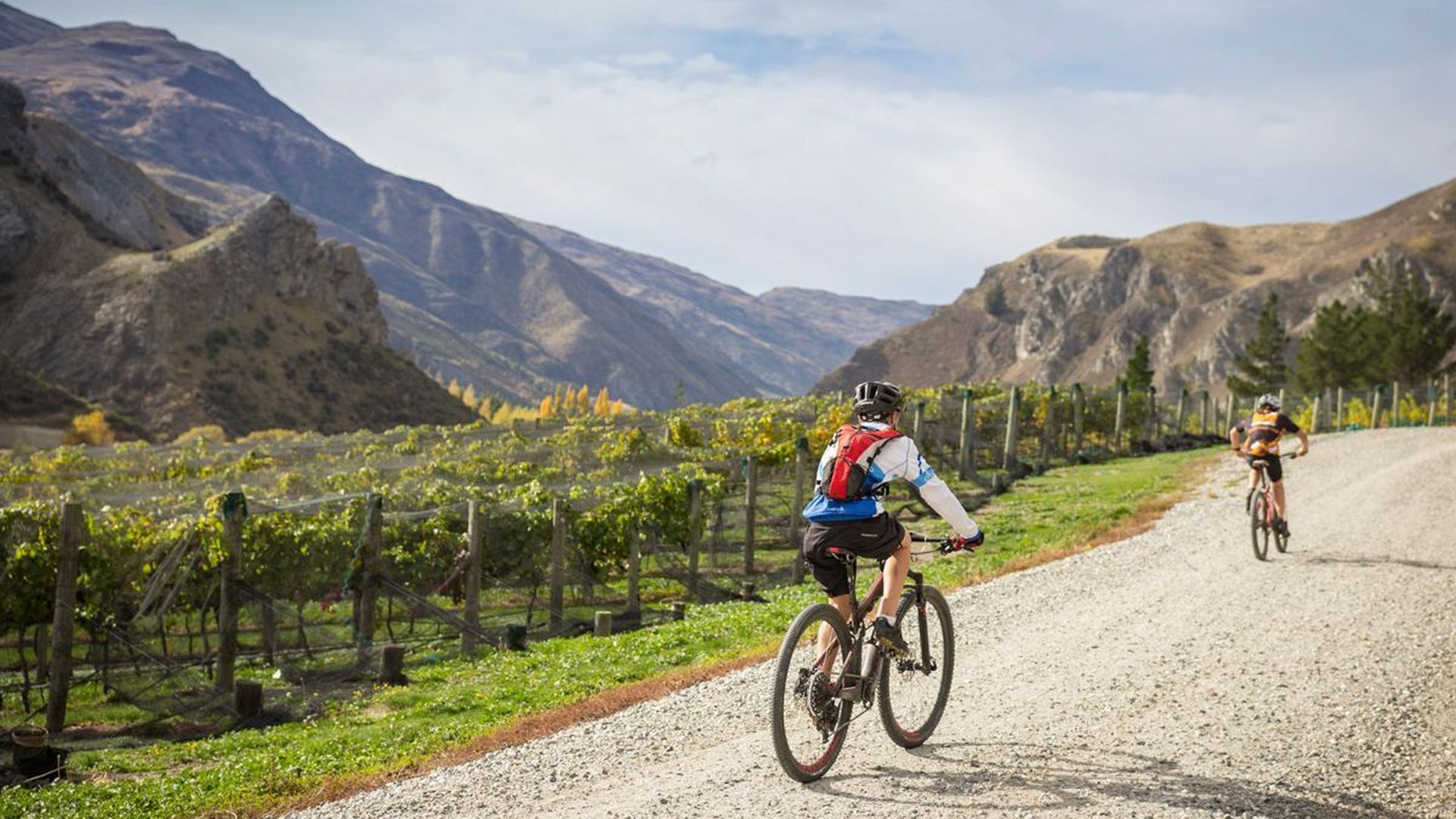 Winery Tours Queenstown