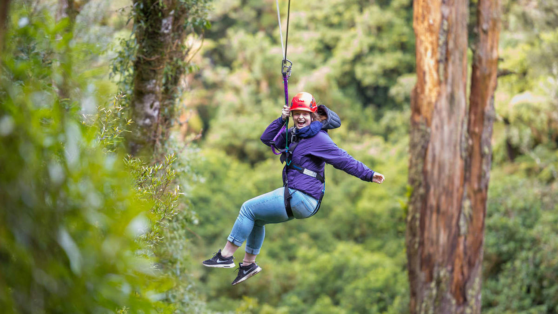 Rotorua Forest Zipline Canopy Adventure