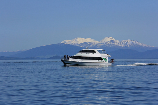 Take a cruise with Chris Jolly